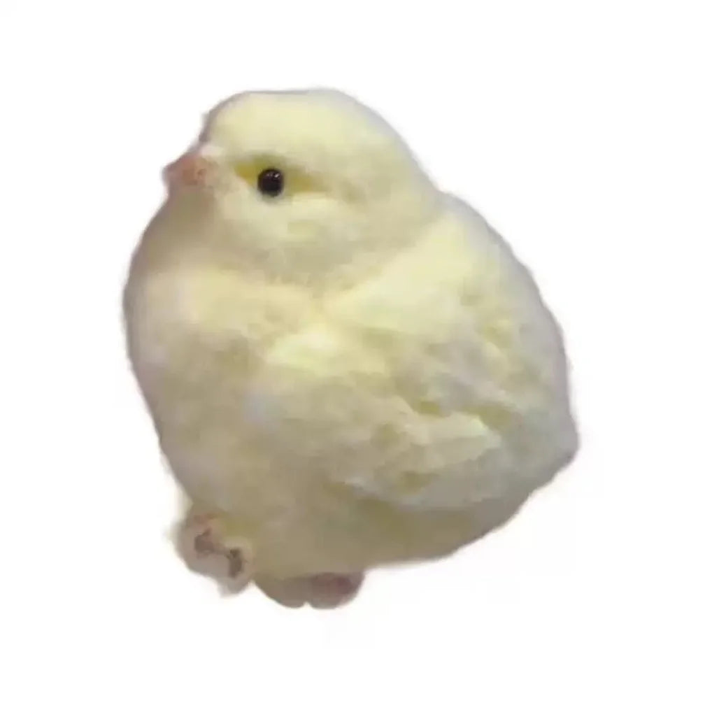 Chick Squishy Toy.