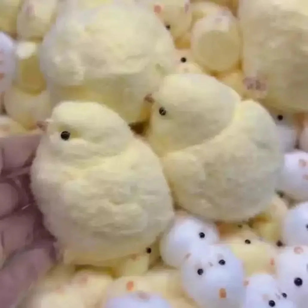 Chick Squishy Toy.