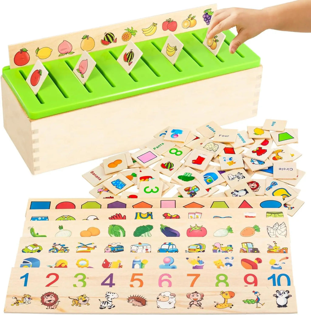 Wooden Montessori Educational Sorting Toy.