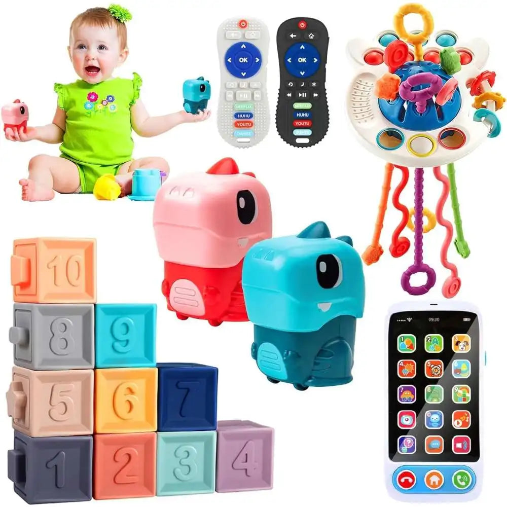 Montessori Baby Toys for 6-36 Months.
